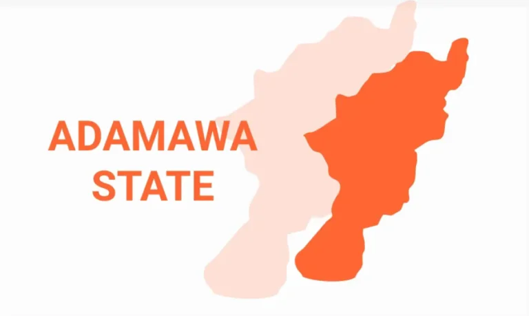 Ƙyanda ta ‘kashe yara 19’ a Adamawa