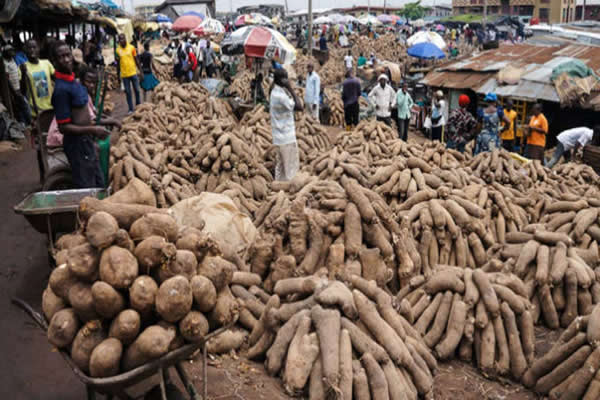 Gwamnatin tarayya ta bayyana masu janyo tsadar abinci a Nigeria