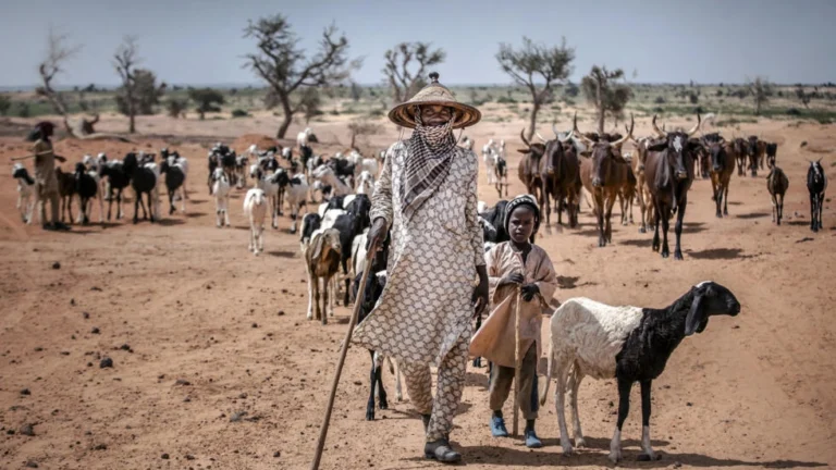 An kashe Fulani makiyaya 421 cikin watanni 3 a Najeriya – CPAN