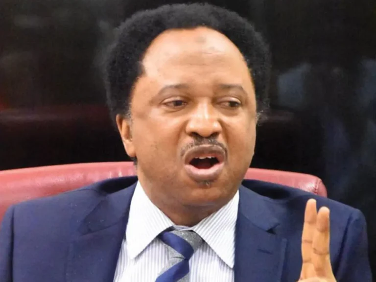 Tsarin canjin kudi na CBN bala’i ne – Shehu Sani