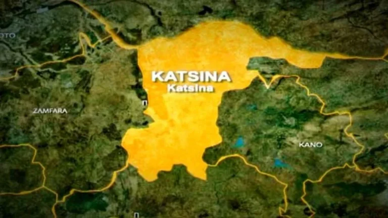 ‘Yan bindiga sun hallaka maza 5, sun yi awon gaba da mata da dabbobi a Katsina