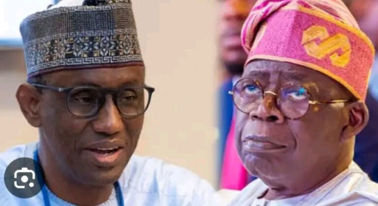 APC ta jihar Adamawa ta bayyana goyon bayan ta ga Tinubu da Nuhu Ribadu