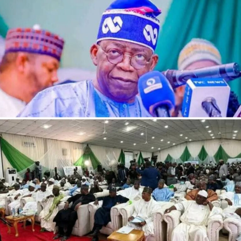 Tinubu ya cika alƙawarin da ya daukarwa Arewa–Gwamnonin yankin