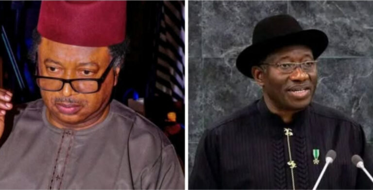 Bai kamata Jonathan ya nemi takarar shugaban ƙasa ba–Shehu Sani