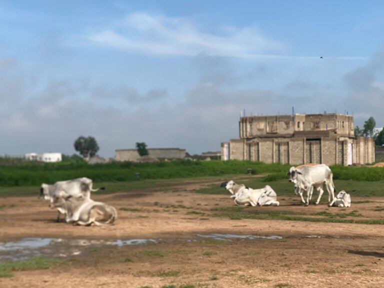 Al’ummar Danbare sun koka kan yunkurin kwace musu filin makaranta