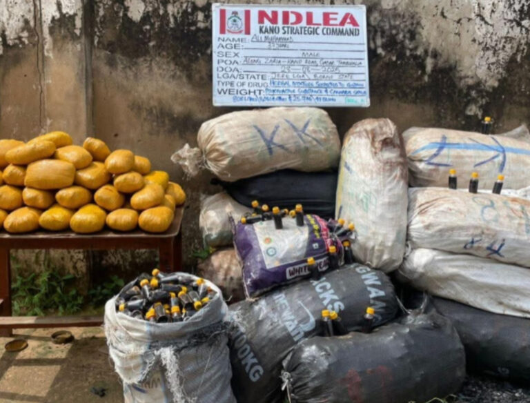 NDLEA ta kama kwalabe 8,000 na Akuskura da tabar wiwi a Kano