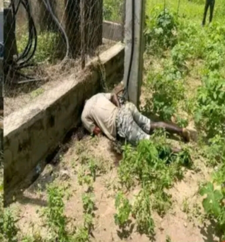 An Gano Gawar Mai Ƙoƙarin Satar Kayan Lantarki a Jami’ar Maiduguri