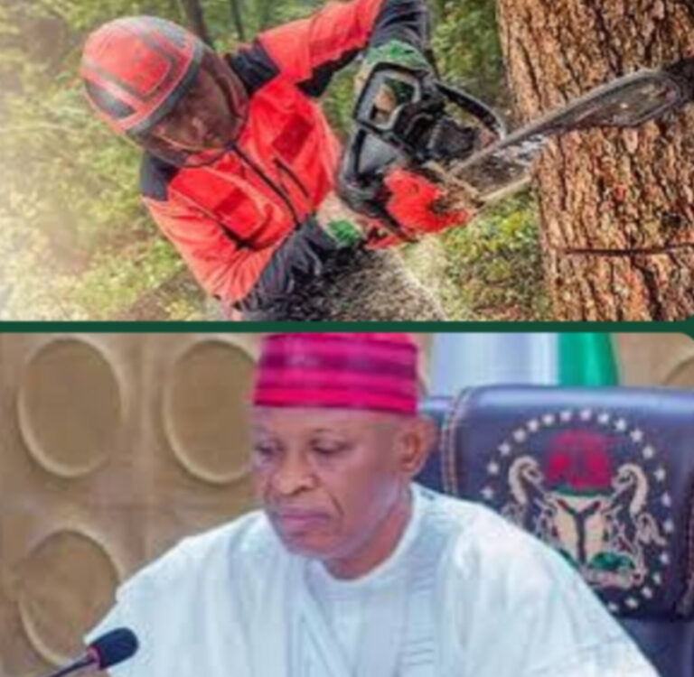 Kano ta haramta amfani da injin sare bishiyu