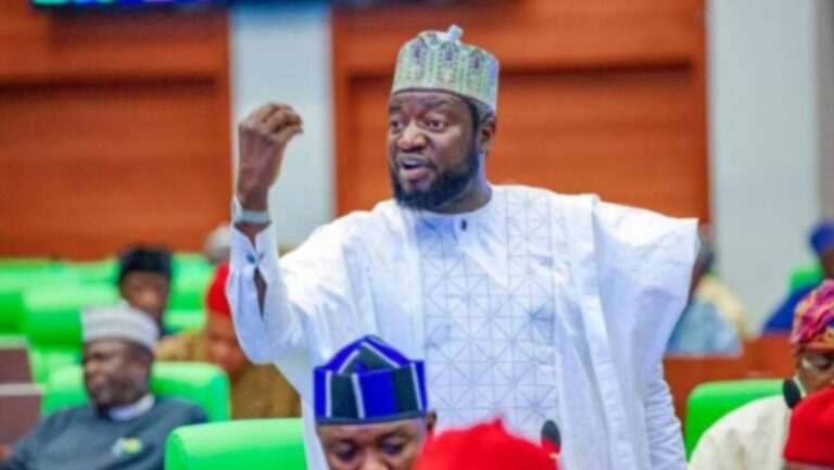 Babu hannun Tinubu a matsalolin da a’lumma ke fuskanta–Dan Majalisa Gadgi