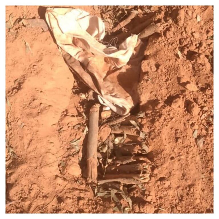 Al’ummar Yobe sun koka a kan yawaitar sace matattu daga kaburbura