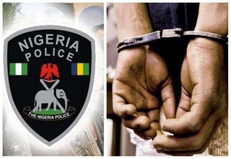 Police arrest suspected “errand boy’’ to bandits in Kaduna