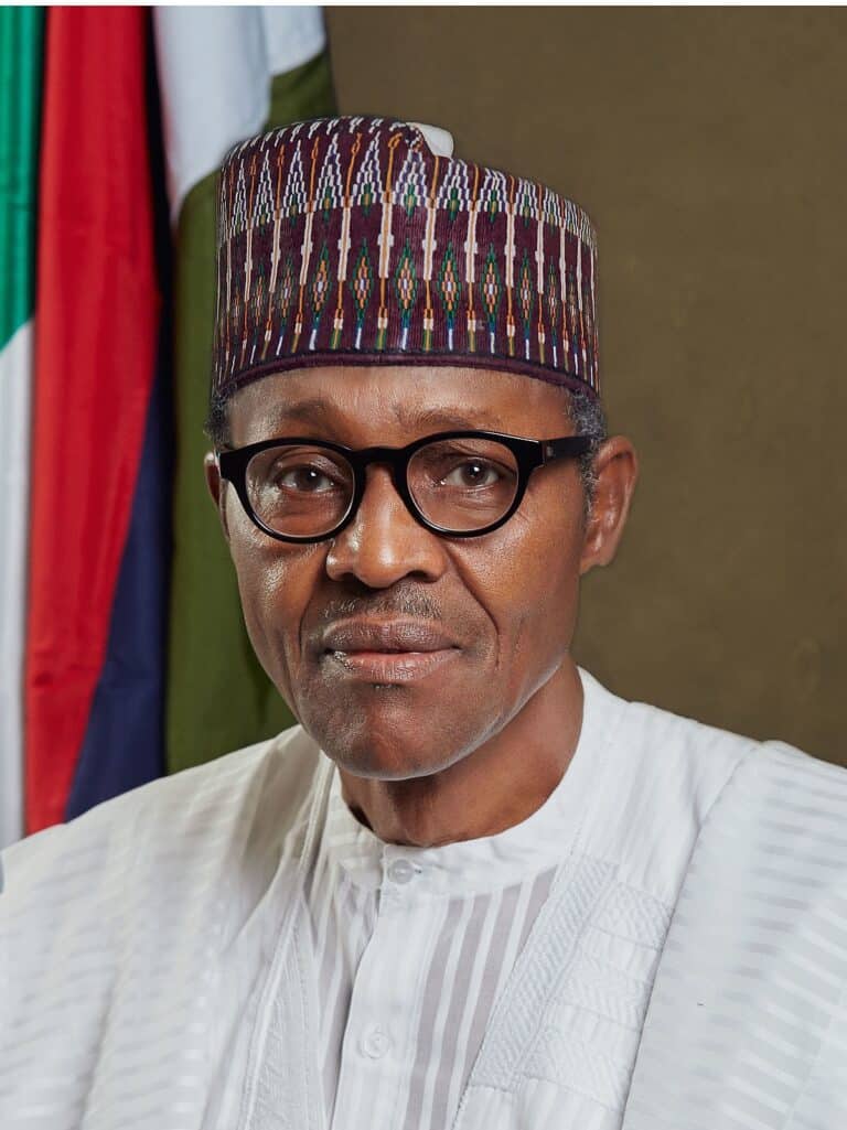 Increase security personnel at borders to halt kidnapping, killings – APC chieftain, Abayomi tells Buhari