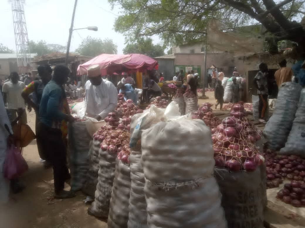 Traders Strike Suspension: A look at the prices of Onions in the North, South