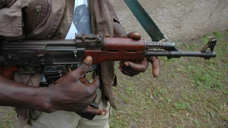 Buhari orders security operatives to shoot anyone seen with AK47 rifle