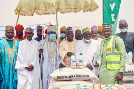 Private firm engages Jigawa farmers on 900 hectares rice production