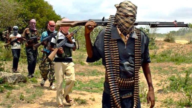 How Nasarawa, Zamfara, Borno are tackling insecurity