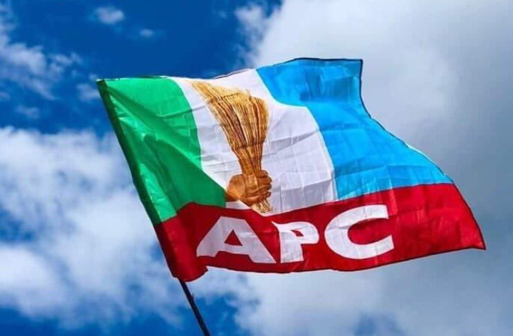 APC sweeps all 28 house of assembly seats in Borno