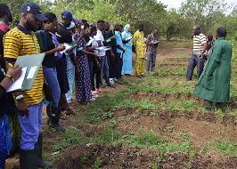 Institute trains Northwest farmers on soil management, conservation