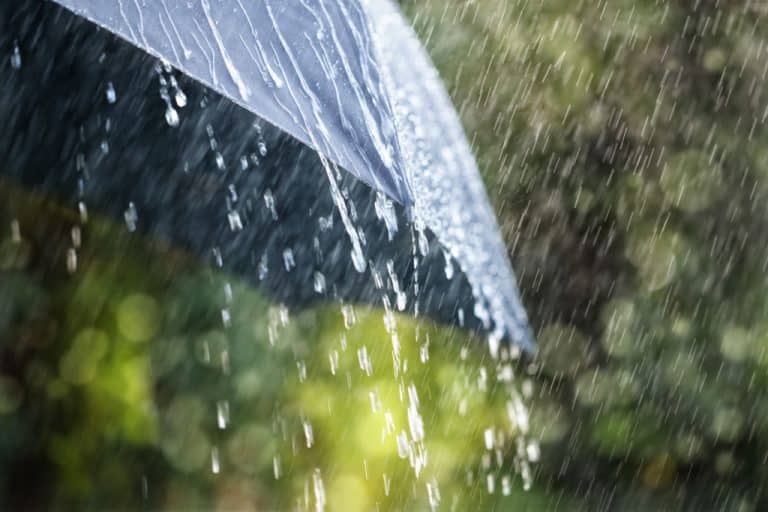 Treat rain water before use – Expert