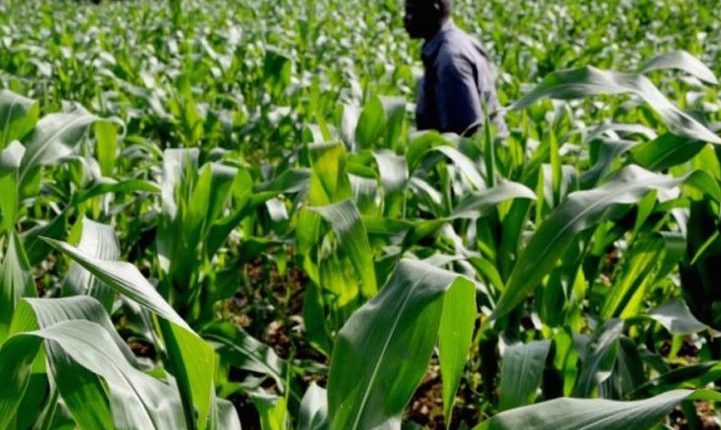 FCTA moves to revolutionise agricultural sector through introduction of technologies