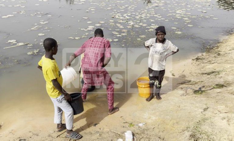 Survival of the fittest: Inside Kano communities where humans share water with animals