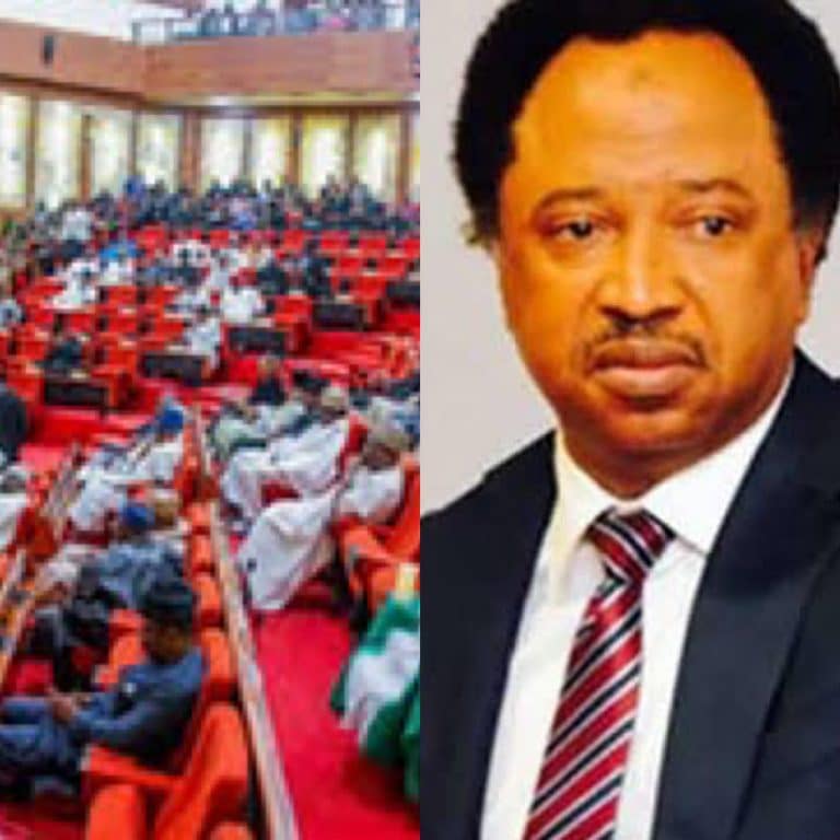 Why senators don’t exchange blows during debate – Shehu Sani