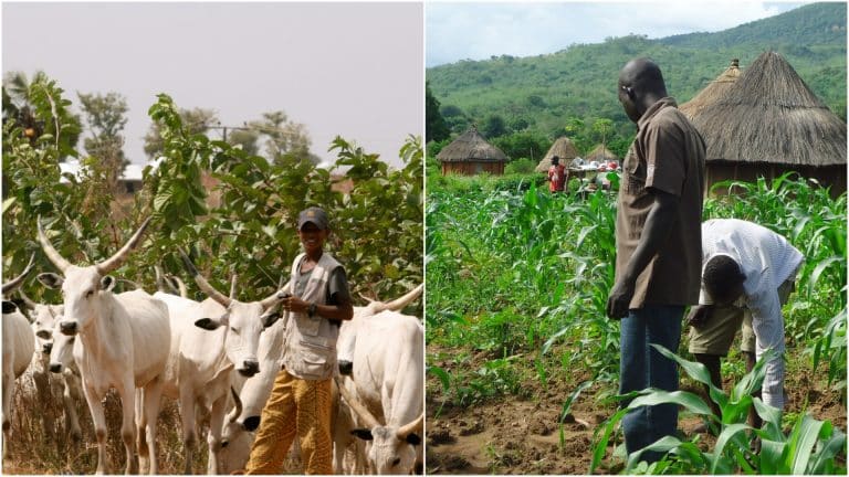 2 killed as farmers, herdsmen clash in Jigawa