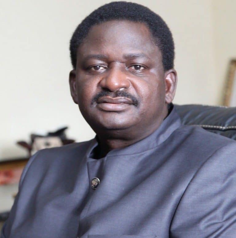 Buhari will retire to tend his cattle with glory – Femi Adesina