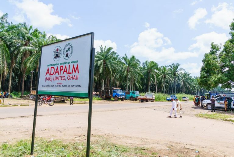 Adapalm to generate over 2,500 jobs this year – GM