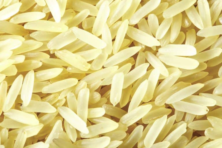 Thieves steal harvested rice from Nasarawa govt farm