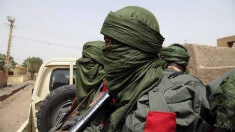 Terrorists kill children, abduct many in fresh Niger attack