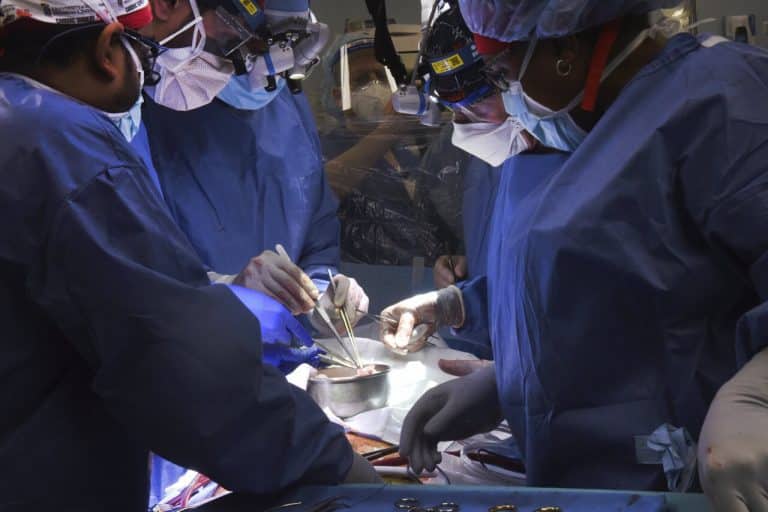 US surgeons transplant pig heart into human patient,1st in the World