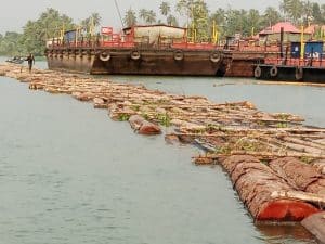 Edo confiscates 2,375 logs from illegal loggers