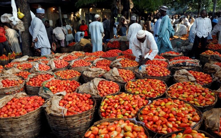 FG dispatches 60 trucks of fertiliser to each state amid food crisis