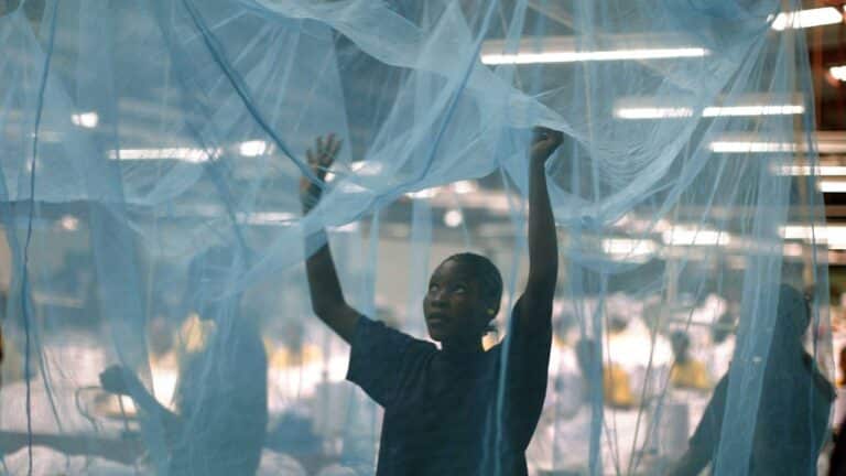 Anambra Govt. plans to distribute 3.8 million mosquito nets to prevent malaria