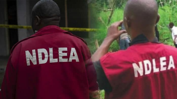 NDLEA smashes international drug syndicate, arrests 5