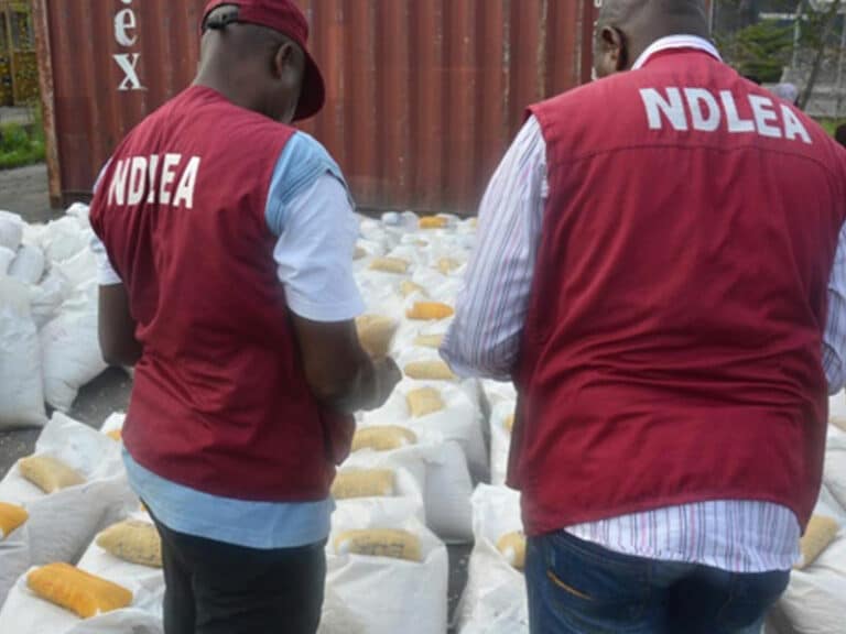 111 arrested by NDLEA over drug trafficking in Kaduna