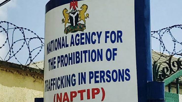 105 victims of human trafficking in Benin rescued by NAPTIP