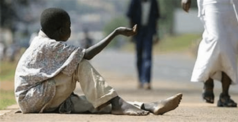 Adamawa community establishes school to curb street begging