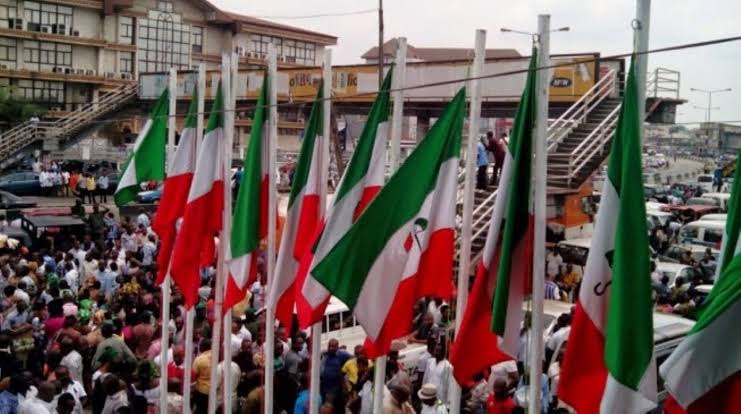 LG Poll: PDP sweeps all 21 LGs in Adamawa