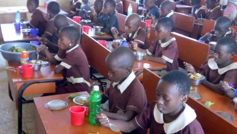 N12bn spent by FG on school feeding monthly – NHGSFP coordinator