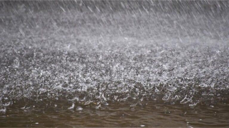 Maiduguri records first rainfall in 2022