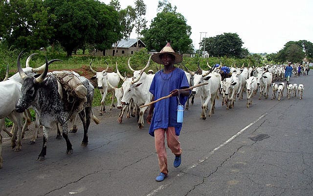 One dead, two injured as youths clash with herdsmen in Gombe