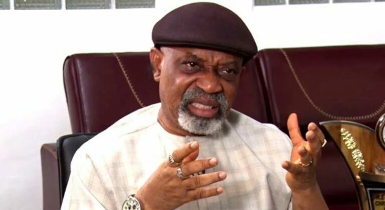 FG cannot increase wages, downsize workers without productivity measurement – Ngige