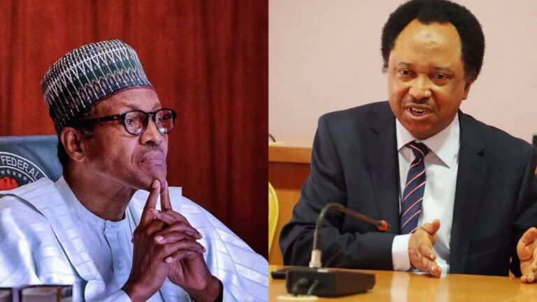 Naira Notes: Buhari has limited knowledge of economics —Shehu Sani