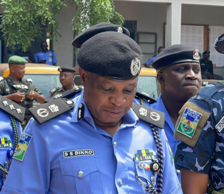 Police arrest 198 suspects in Kano