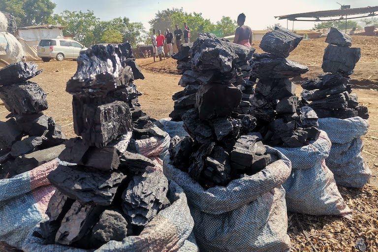 How to begin charcoal export business in Nigeria