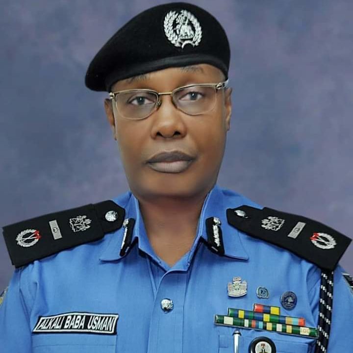 Campaign: Police ban quasi-security outfits in Borno