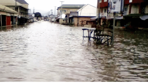 172,000 farmers badly affected by flood in Adamawa – SEMA