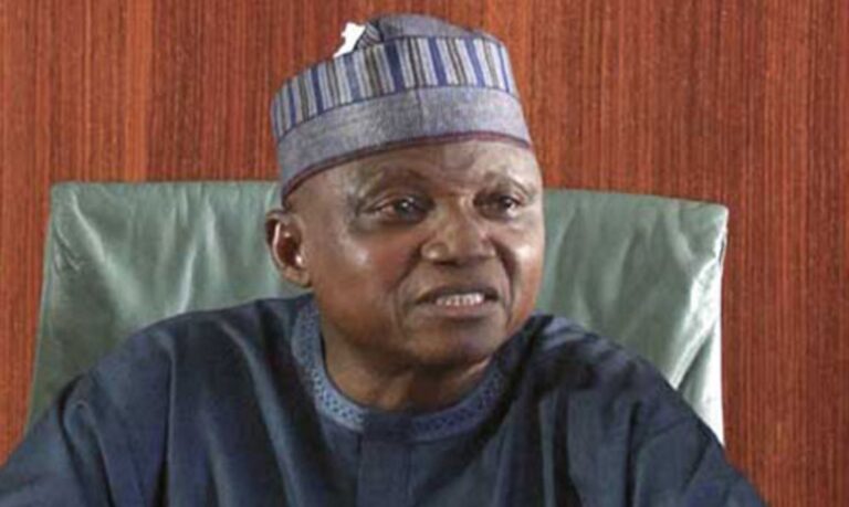 No State Govt has approval for automatic weapons – Presidency